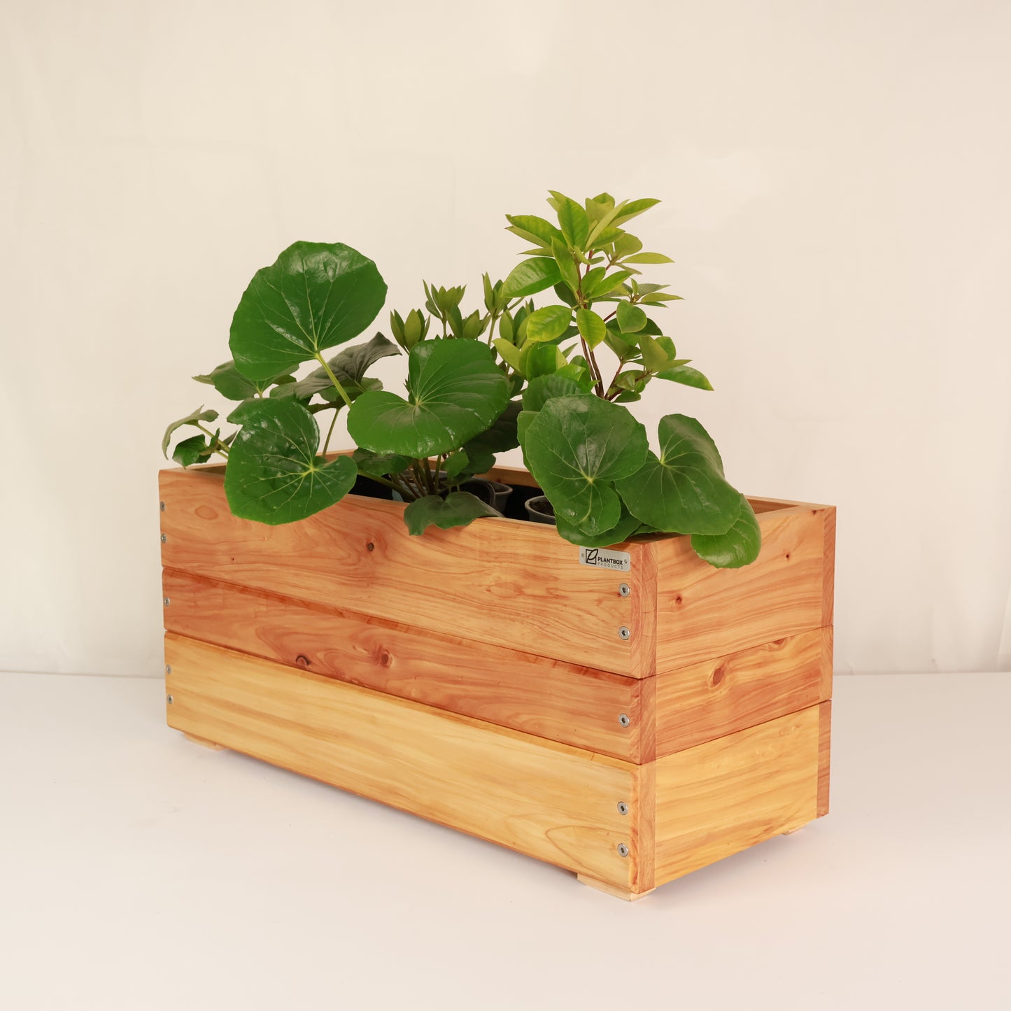 Crate planter box