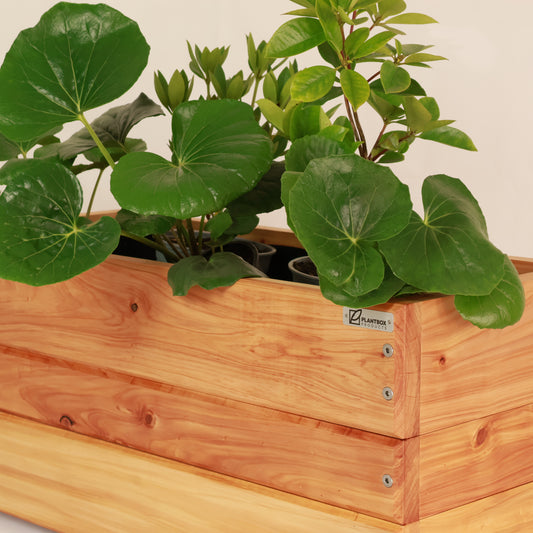 Crate planter box